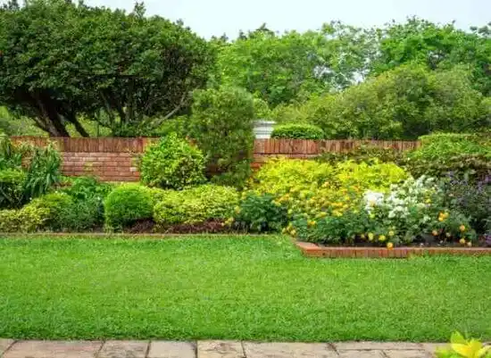 landscaping services Sonora